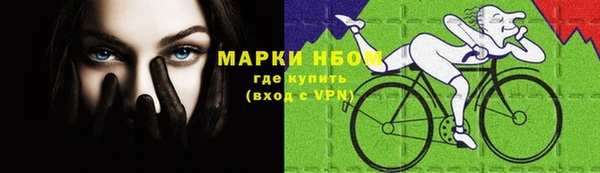 гашик Няндома
