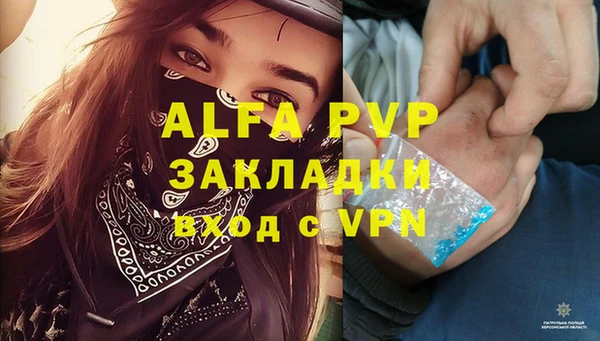 гашик Няндома