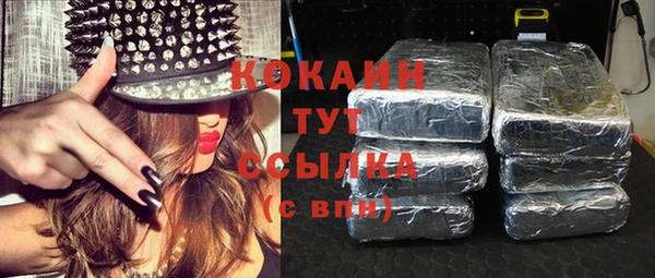 гашик Няндома