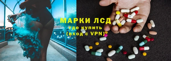 a pvp Новозыбков