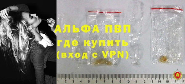 a pvp Новозыбков
