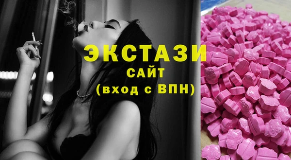 a pvp Новозыбков
