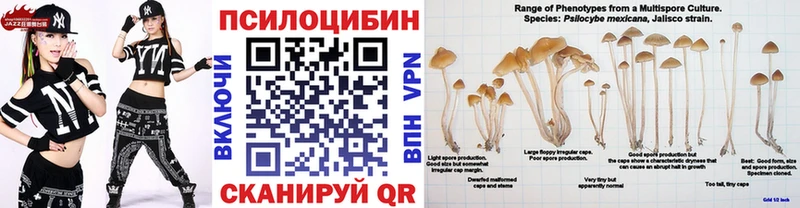даркнет сайт  hydra как войти  Галлюциногенные грибы MAGIC MUSHROOMS  Ивдель 