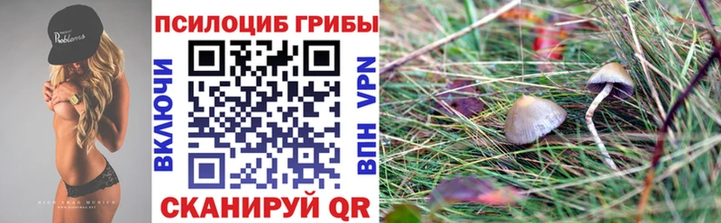 Псилоцибиновые грибы прущие грибы Ивдель